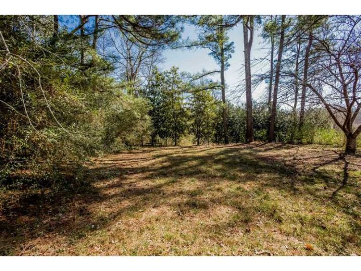 0 Gelding Court, Marietta, GA 30062