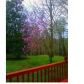 621 Mountain Brook Road, Dawsonville, GA 30534 ID:7378520