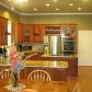 1425 Daley Ridge Court, Lawrenceville, GA 30045 ID:5539940