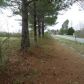 0 HWY 55, Eva, AL 35621 ID:7486851