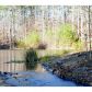 285 Wildwind Trace, Dallas, GA 30132 ID:6518403