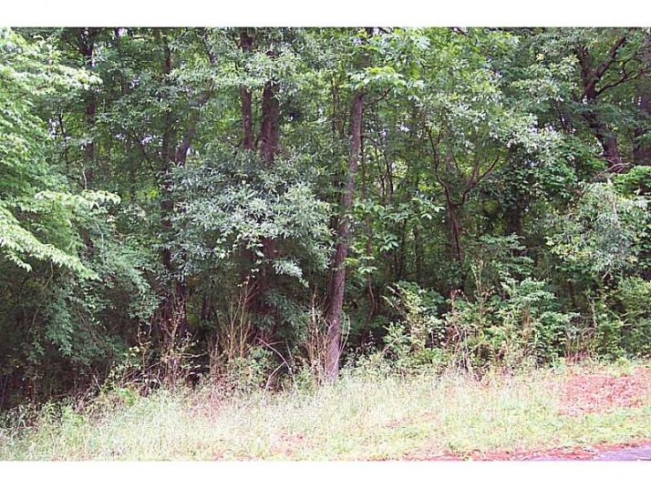 0 17 Lots - Bryant Circle, Cedartown, GA 30125