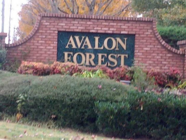 805 Avalon Forest Drive, Lawrenceville, GA 30044