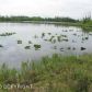 915 S Ashley Road, Big Lake, AK 99652 ID:6341321