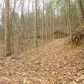 0 Meadow Trail, Cherrylog, GA 30522 ID:7842857