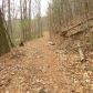 0 Meadow Trail, Cherrylog, GA 30522 ID:7842858