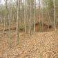 0 Meadow Trail, Cherrylog, GA 30522 ID:7842860