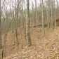 0 Meadow Trail, Cherrylog, GA 30522 ID:7842861