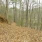 0 Meadow Trail, Cherrylog, GA 30522 ID:7842862