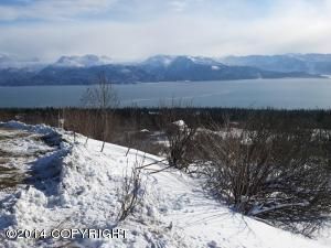 L2-A1 Old East End Road, Homer, AK 99603