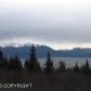 53938 Tremain Avenue, Homer, AK 99603 ID:6890600