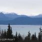 53938 Tremain Avenue, Homer, AK 99603 ID:6890595