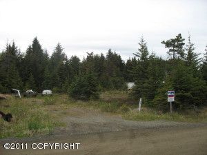 824 Ocean Drive Loop, Homer, AK 99603