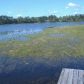 NE 51 Ave, Melrose, FL 32666 ID:3981814