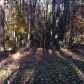 0 Camp Road, Jasper, GA 30143 ID:5961119