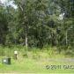 7859 NW 184th Drive, Alachua, FL 32615 ID:4056646