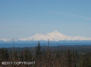 Tr 3 Forest Drive, Homer, AK 99603