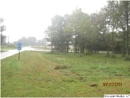 5811 Hwy 55, Eva, AL 35621