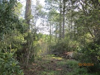 Lot22 Gumleaf R, Jacksonville, FL 32226