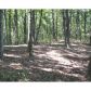 2300 S Piney Spur Road, Ellijay, GA 30536 ID:7664752