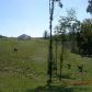 1641 Garland Mountain Trail, Waleska, GA 30183 ID:7662056