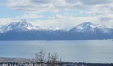 5046 Spruce Terrace Circle Homer, AK 99603