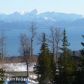 53914 Mansfield Avenue, Homer, AK 99603 ID:7475186