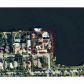 900 S NORTHLAKE DR, Hollywood, FL 33019 ID:1075757