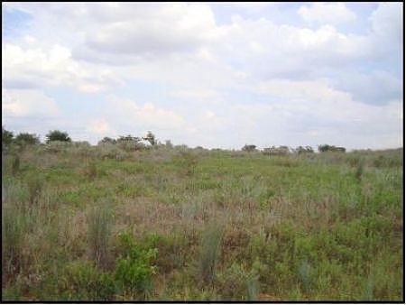 Lot 3 Block 3 River Springs, Randlett, OK 73562