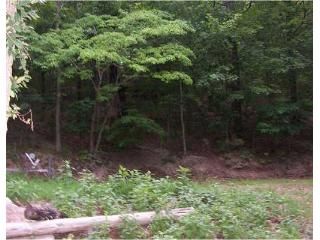 Lot 1 & Z Lowel Point Subdivision, Eureka Springs, AR 72631