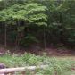 Lot 1 & Z Lowel Point Subdivision, Eureka Springs, AR 72631 ID:1168125