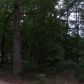 Lot 1 & Z Lowel Point Subdivision, Eureka Springs, AR 72631 ID:1168126