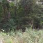 Lot 1 & Z Lowel Point Subdivision, Eureka Springs, AR 72631 ID:1168128