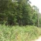 Lot 1 & Z Lowel Point Subdivision, Eureka Springs, AR 72631 ID:1168129