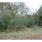 310 Co Rd 7001, Holly Pond, AL 35083 ID:1386367