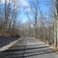 Lot 18 Delafield Rd, Hot Springs, VA 24445 ID:1081847