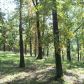 Summer Dr. Lot 2, Eureka Springs, AR 72631 ID:1168055