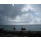 101 N OCEAN DR # 738, Hollywood, FL 33019 ID:7803151