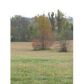 000 Morris Dr., Lots 1,2 & 3, Grand Rivers, KY 42045 ID:3097819