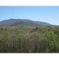 452 Ridgemont Drive, Ellijay, GA 30536 ID:7869944