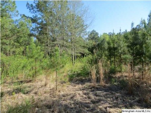 321 DUSTY TRAIL LN 3 ACRES, Talladega, AL 35160