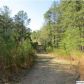 321 DUSTY TRAIL LN 3 ACRES, Talladega, AL 35160 ID:7743804