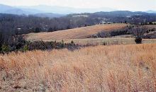 38.66 ac ALLEN CHAPEL Parrottsville, TN 37843