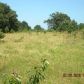 43 Acres on CR 2030, Coal Hill, AR 72832 ID:1154950