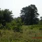 43 Acres on CR 2030, Coal Hill, AR 72832 ID:1154951