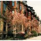 Marlborough Street #3, Boston, MA 02116 ID:99573