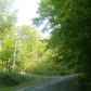 4 Hastings Dr, Grahamsville, NY 12740 ID:1102899