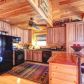 217 Weoka Court, Ellijay, GA 30540 ID:7170391