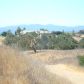 3090 Avenida Caballo, Santa Ynez, CA 93460 ID:1141844