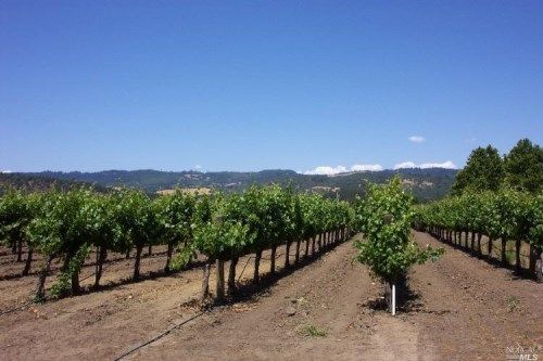 0 Zinfandel Ln, Saint Helena, CA 94574